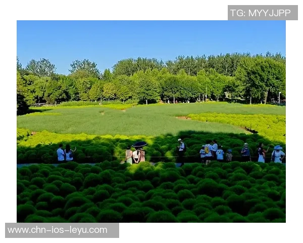 奥林匹克森林公园足球场周边运动设施与休闲活动全攻略