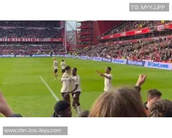 足球球迷激情四溢欢呼进球瞬间感受团队精神与荣耀的交汇