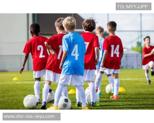 踢足球的魅力与团队精神的启示让我深思的观后感分享